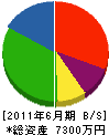 山本農園 貸借対照表 2011年6月期