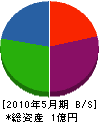 坪田工業 貸借対照表 2010年5月期