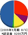 塩島組 貸借対照表 2009年9月期