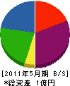 富士塗装店 貸借対照表 2011年5月期