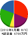 岩崎電機 貸借対照表 2012年6月期