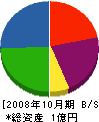 ギケン 貸借対照表 2008年10月期