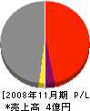 江津開発センター 損益計算書 2008年11月期