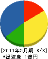 サヌキ土木 貸借対照表 2011年5月期