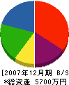 東京コート 貸借対照表 2007年12月期