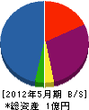 柴山建設 貸借対照表 2012年5月期