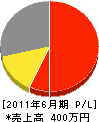 大阪府造園土木工事業（同） 損益計算書 2011年6月期
