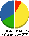 岸田テレビサービス 貸借対照表 2009年12月期