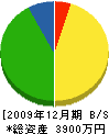 寺阪建設 貸借対照表 2009年12月期