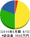 椿本電気商会 貸借対照表 2010年6月期