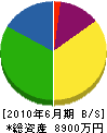 山元工業 貸借対照表 2010年6月期