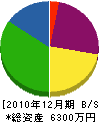 堀田擴工務店 貸借対照表 2010年12月期