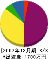 青島要商店 貸借対照表 2007年12月期