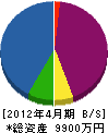 三國工業 貸借対照表 2012年4月期