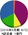 江川産業 貸借対照表 2010年8月期