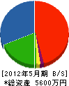 長谷川建設 貸借対照表 2012年5月期