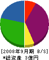 ワールドコミュニティー 貸借対照表 2008年9月期
