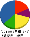 川崎電興 貸借対照表 2011年6月期