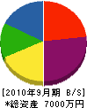樫村材木店 貸借対照表 2010年9月期
