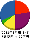 東川建設 貸借対照表 2012年8月期