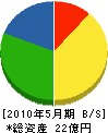 北海道ガソン 貸借対照表 2010年5月期