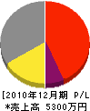 竹田工務店 損益計算書 2010年12月期