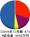 フジイ工業 貸借対照表 2009年12月期