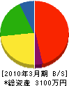 亀井工務店 貸借対照表 2010年3月期
