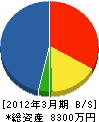 鈴木建材工業 貸借対照表 2012年3月期