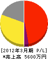 井﨑工業 損益計算書 2012年3月期