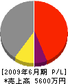 増田組 損益計算書 2009年6月期