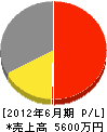 松泉堂 損益計算書 2012年6月期