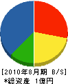 丸山商店 貸借対照表 2010年8月期