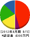 石井商会 貸借対照表 2012年4月期