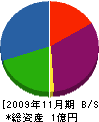 豊工務店 貸借対照表 2009年11月期