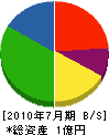 西日本ライナー 貸借対照表 2010年7月期