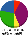 成伸ファーネス 貸借対照表 2012年3月期