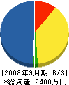 松本電機 貸借対照表 2008年9月期