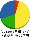 中村新興園 貸借対照表 2012年6月期