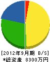 山崎北川建設 貸借対照表 2012年9月期