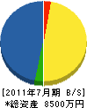 柳沢ガーデン 貸借対照表 2011年7月期