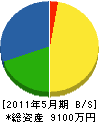 信濃電設 貸借対照表 2011年5月期