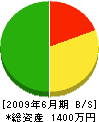 岡崎興産 貸借対照表 2009年6月期