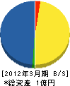竹内組 貸借対照表 2012年3月期