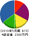 平川建設 貸借対照表 2010年5月期