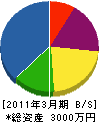 中央電業社 貸借対照表 2011年3月期