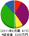 嶋田電気設備 貸借対照表 2011年6月期