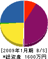 チャフウォールジャパン 貸借対照表 2009年1月期