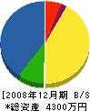 藤川水道 貸借対照表 2008年12月期