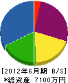 小島塗装工業所 貸借対照表 2012年6月期
